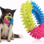 CATS & DOG Chew Toy – Chewing Ring, Cute Multicolor