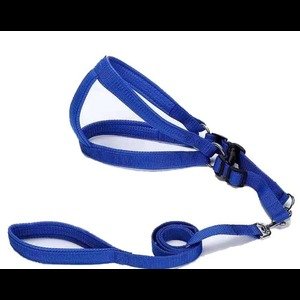 Shop Secondary Image