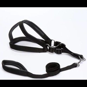 DOG IMPORTED HARNESS - Image 3