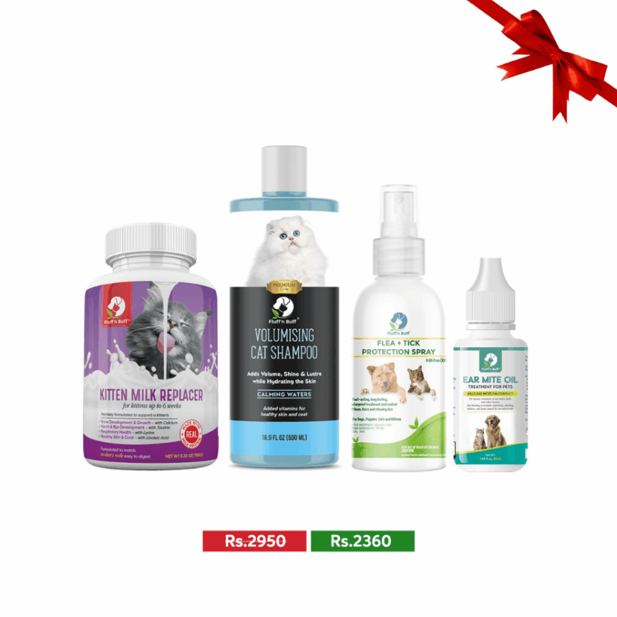Fluff n Buff All-in-One Kitten Care Pack